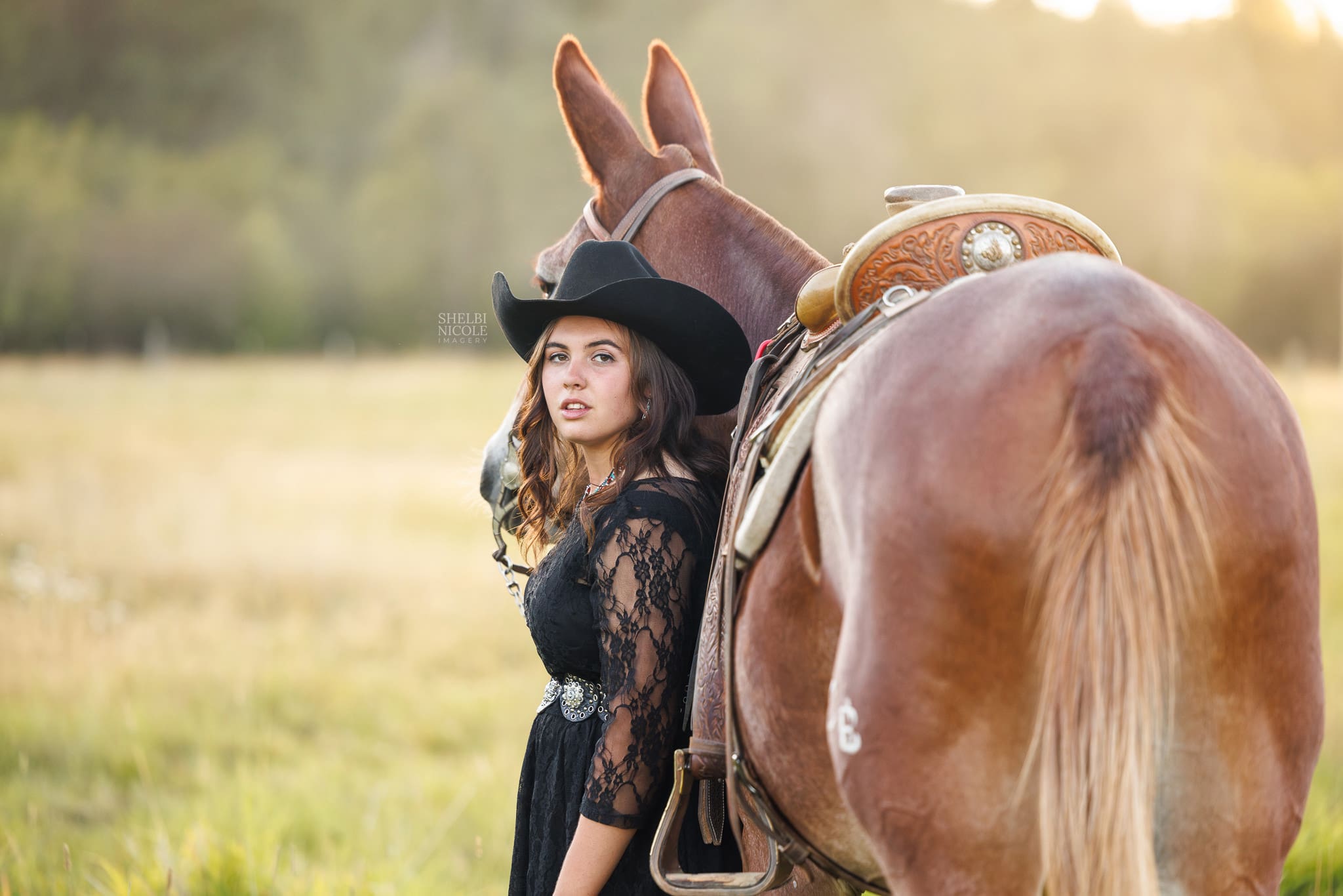 Sunset session with senior girl cowgirl and her mule in North Idaho field.