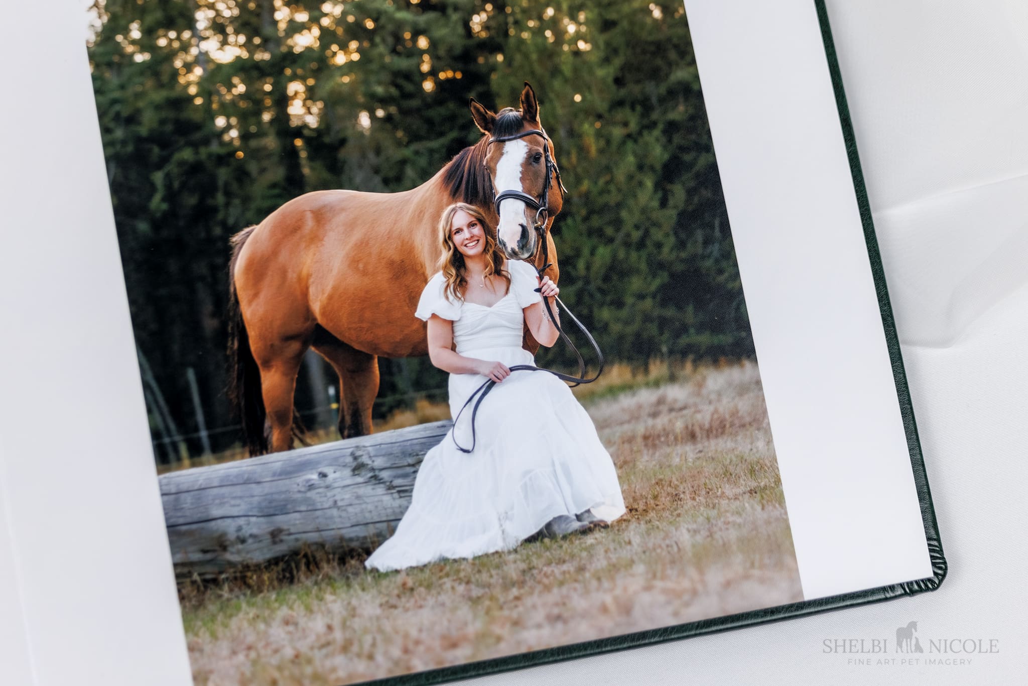 senior girl in white dress sitting next to her bay horse with trees in the background